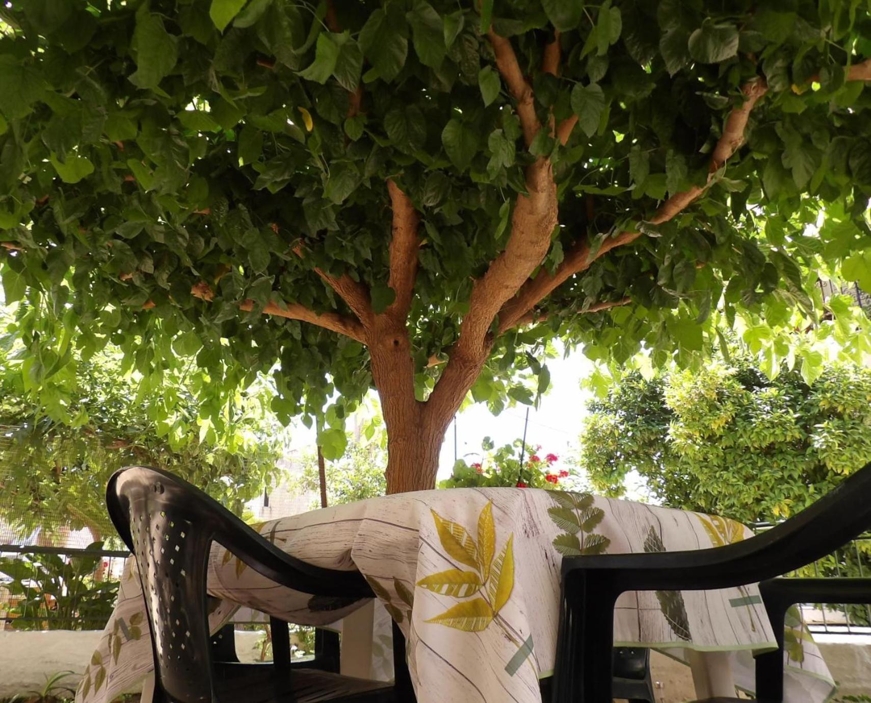 Vivari'S Family House Ναύπλιο Εξωτερικό φωτογραφία